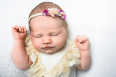 PSZ_2916v6-web